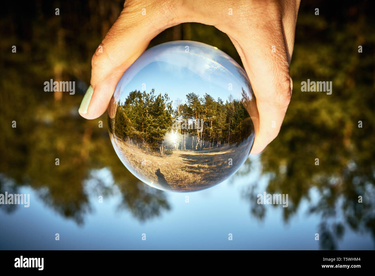 Upside down landscape of beautiful sunny forest with woman's hand Stock Photo
