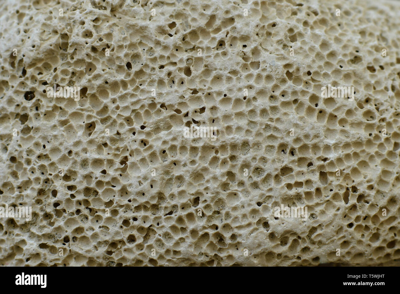Pumice stone background texture. Small porous rock on beach abstract ...