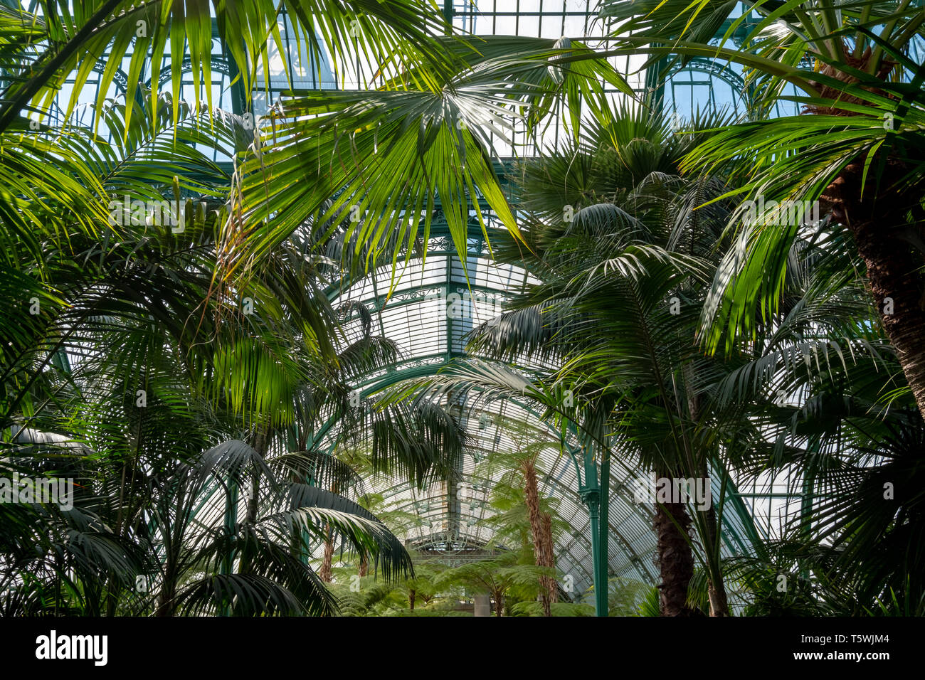The Winter Garden, part of the Royal Greenhouses at Laeken. The Winter