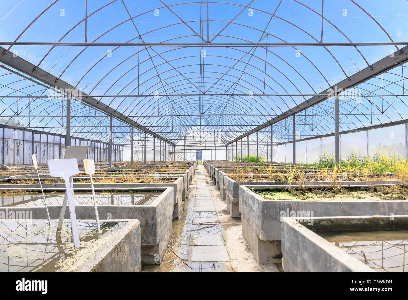 Plantation house interior hires stock photography and images Alamy