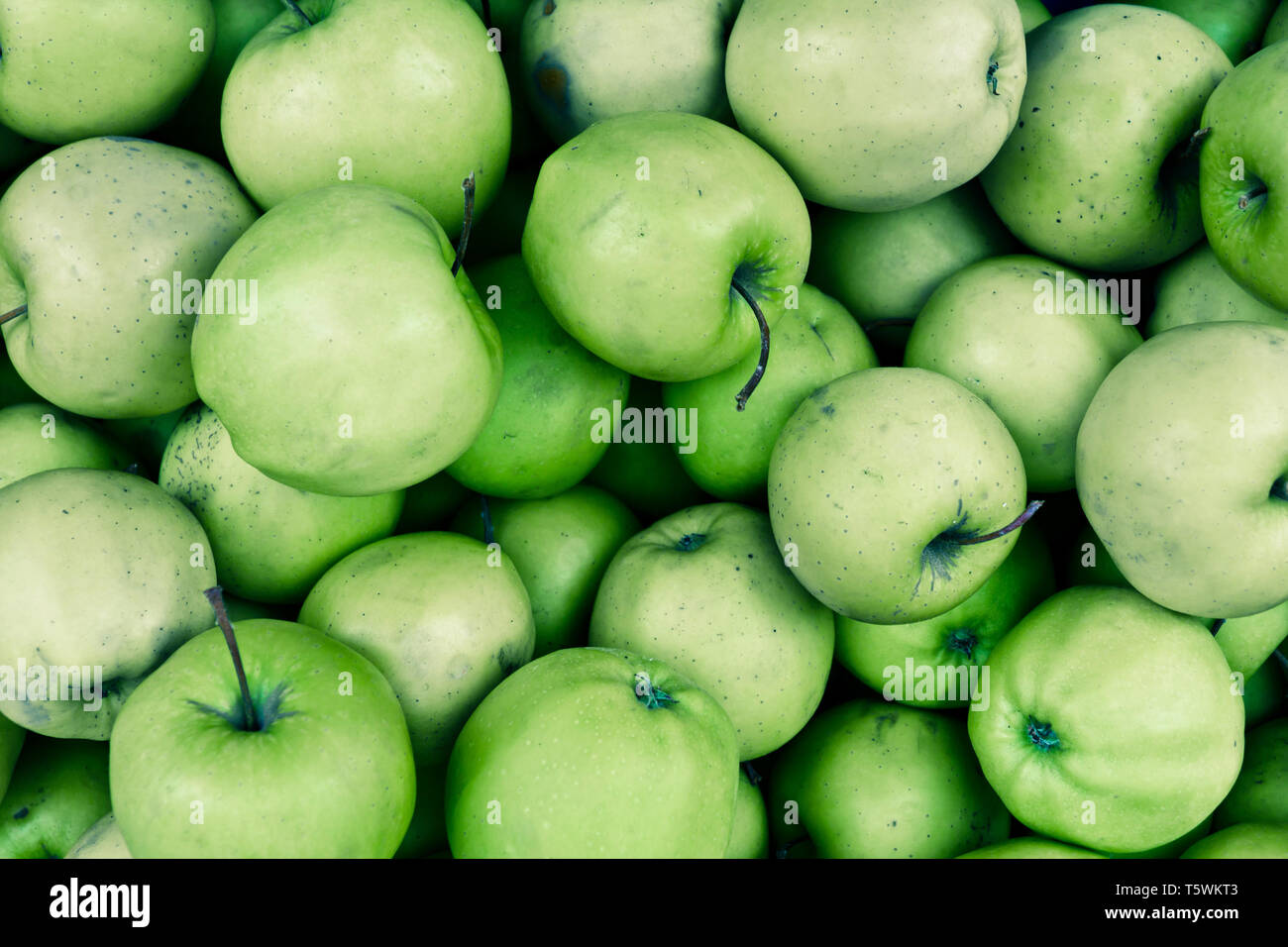 https://c8.alamy.com/comp/T5WKT3/organic-granny-smith-green-apples-from-garden-T5WKT3.jpg