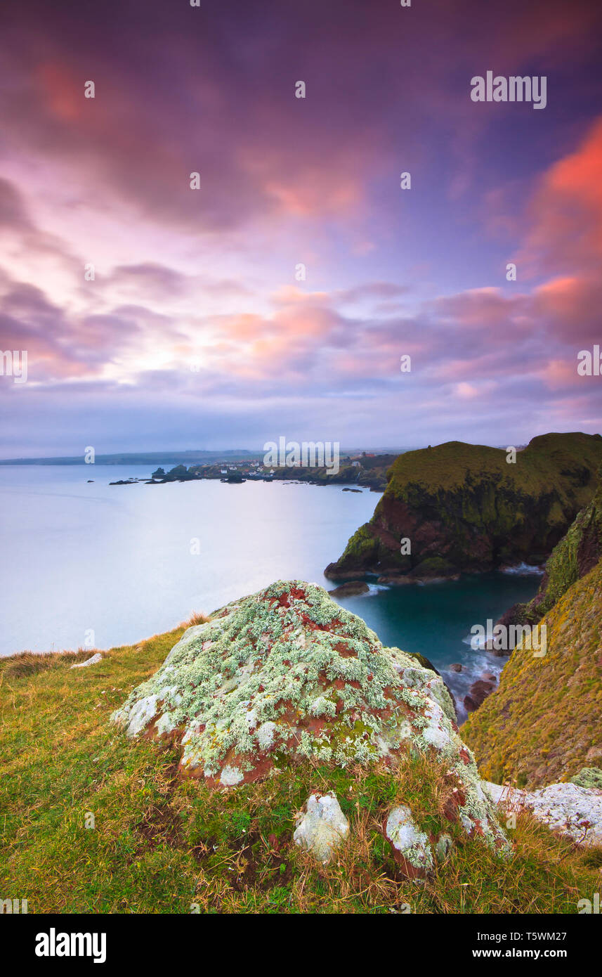 Cold damp early morning in December at Scottish Borders looking out over rocky volcanic landscape & pink clouds at St.Abbs Head. Stock Photo