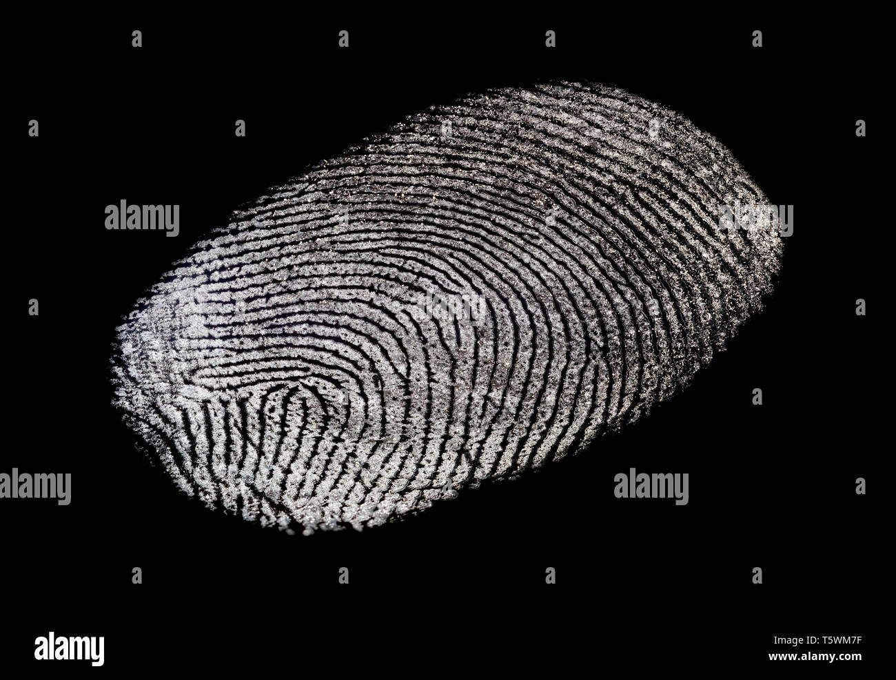 Macro closeup of a single greasy fingerprint on a black background. Fingerprint cutout. Stock Photo