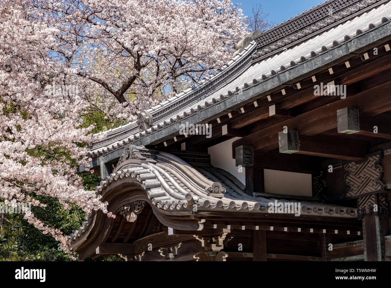 Ornate Roof of the Black Gates, Ueno, Tokyo. Stock Photo