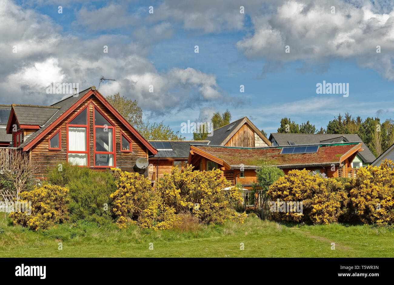 FINDHORN FOUNDATION ECO COMMUNITY  A HOUSE WITH GRASS ON THE ROOF AND SURROUNDED BY YELLOW GORSE IN SPRING Stock Photo