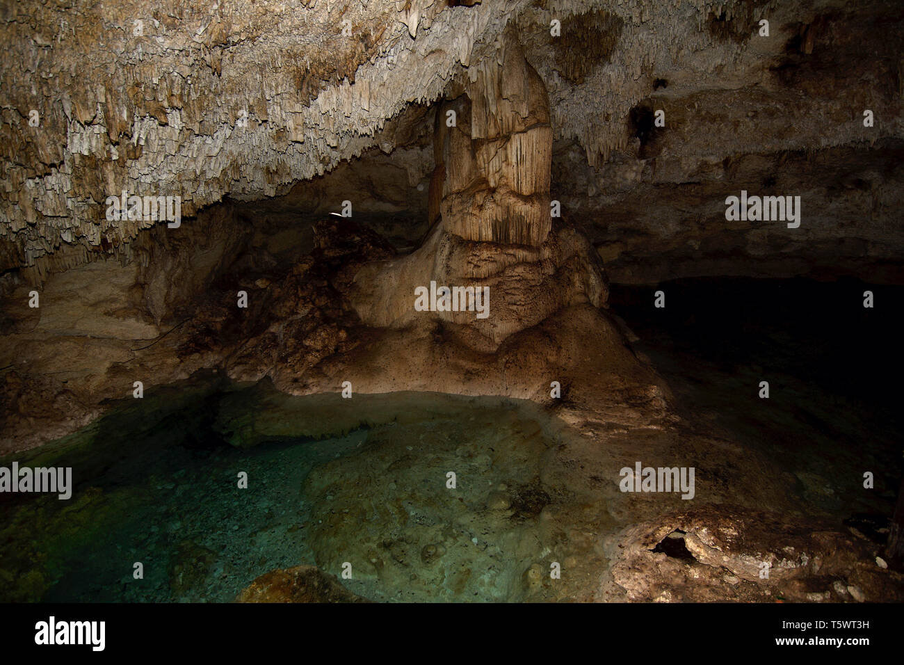 Interior of a cenote (underground river sinkhole) located in Hacienda Sotuta de Peon, Tecoh, Yucatan, Mexico. Stock Photo