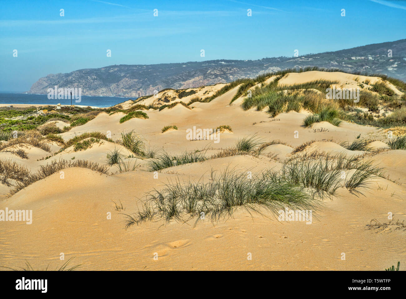 View of sand dunes on the Guincho beach near Atlantic coast. Landscape of  sunny day, blue sky . Cascais. Portugal Stock Photo - Alamy