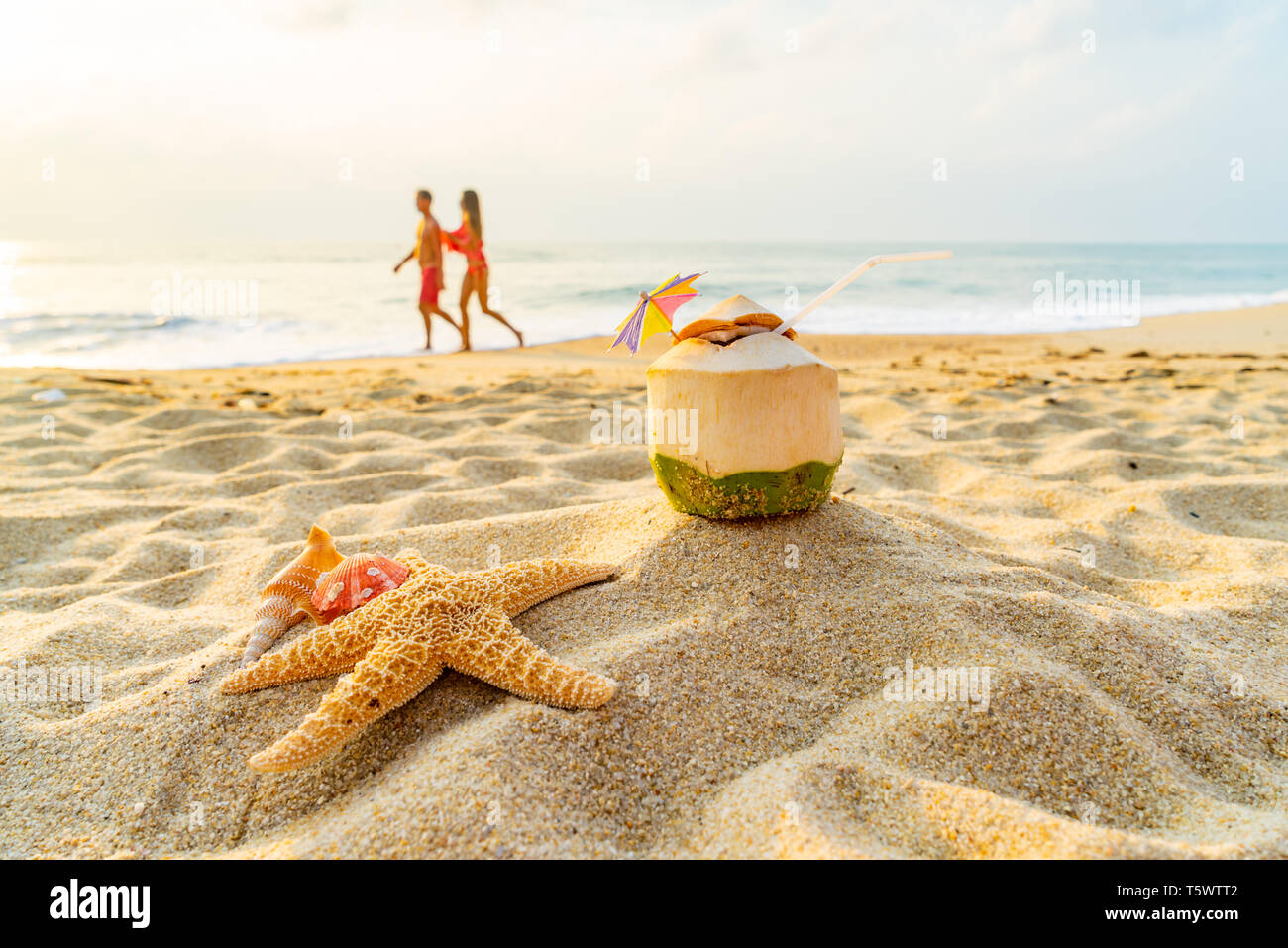 Coconut, seashell and Starfish  at the tropical beach Stock Photo