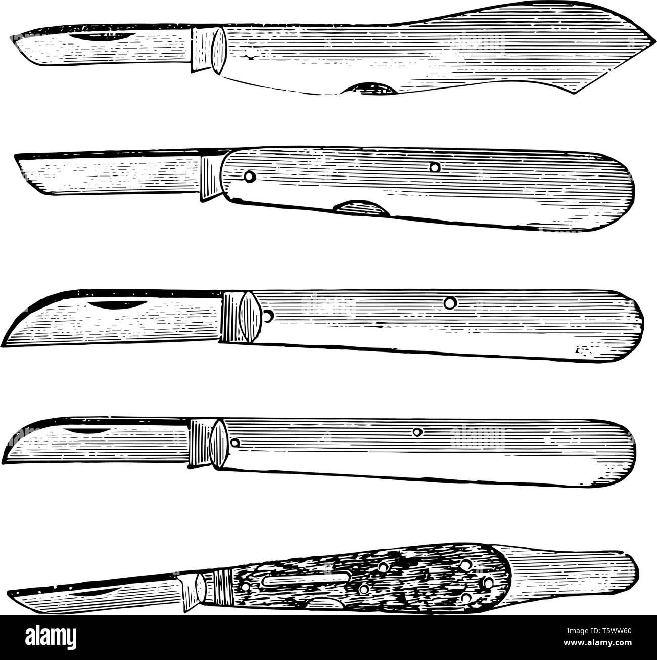 This illustration represents Budding Knives which used for ordinary purposes vintage line drawing or engraving illustration. Stock Vector