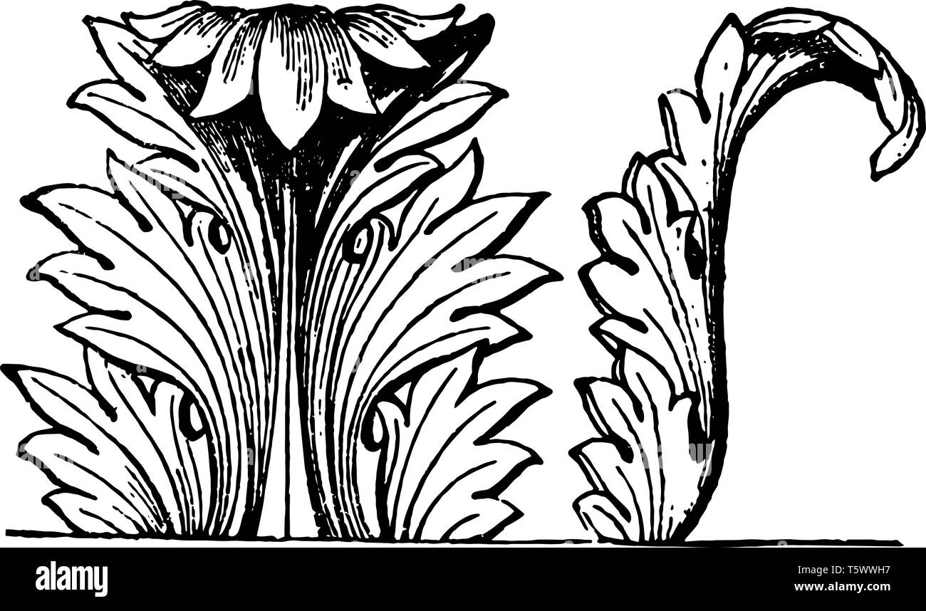 Acanthus Decoration is an acanthus decoration of an architectural
