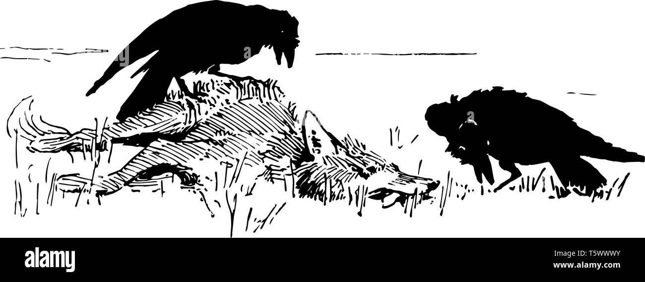 Reynard The Fox Tricking The Crows This Scene Shows The Fox Pretending To Be Dead And Two Crows Sitting Near Him Vintage Line Drawing Or Engraving Il Stock Vector Image Art