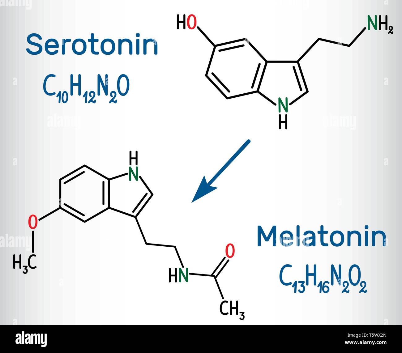 Serotonin and melatonin molecule, hormone of happiness and sleep hormone. Structural chemical formula. Vector illustration Stock Vector