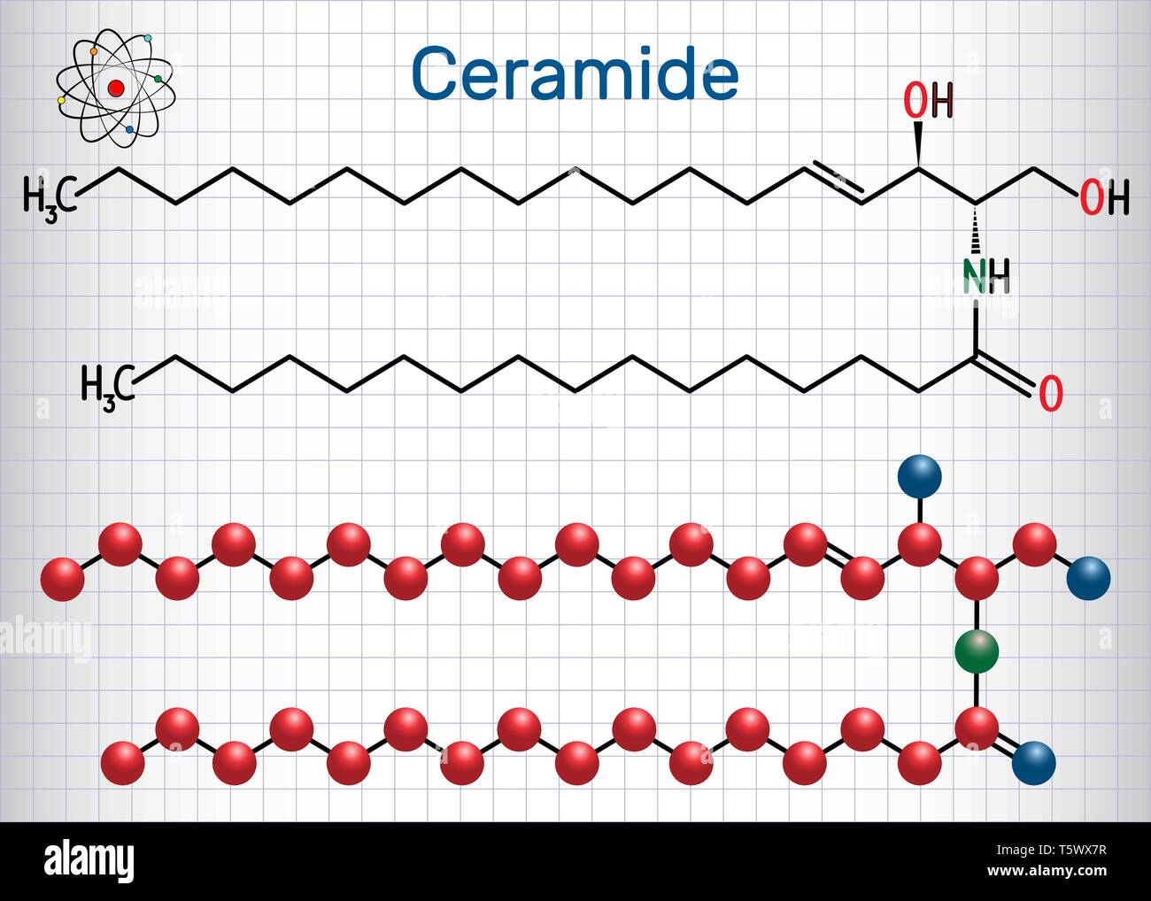 Ceramide Cell Membrane Lipid Molecule Stock Vector Images Alamy