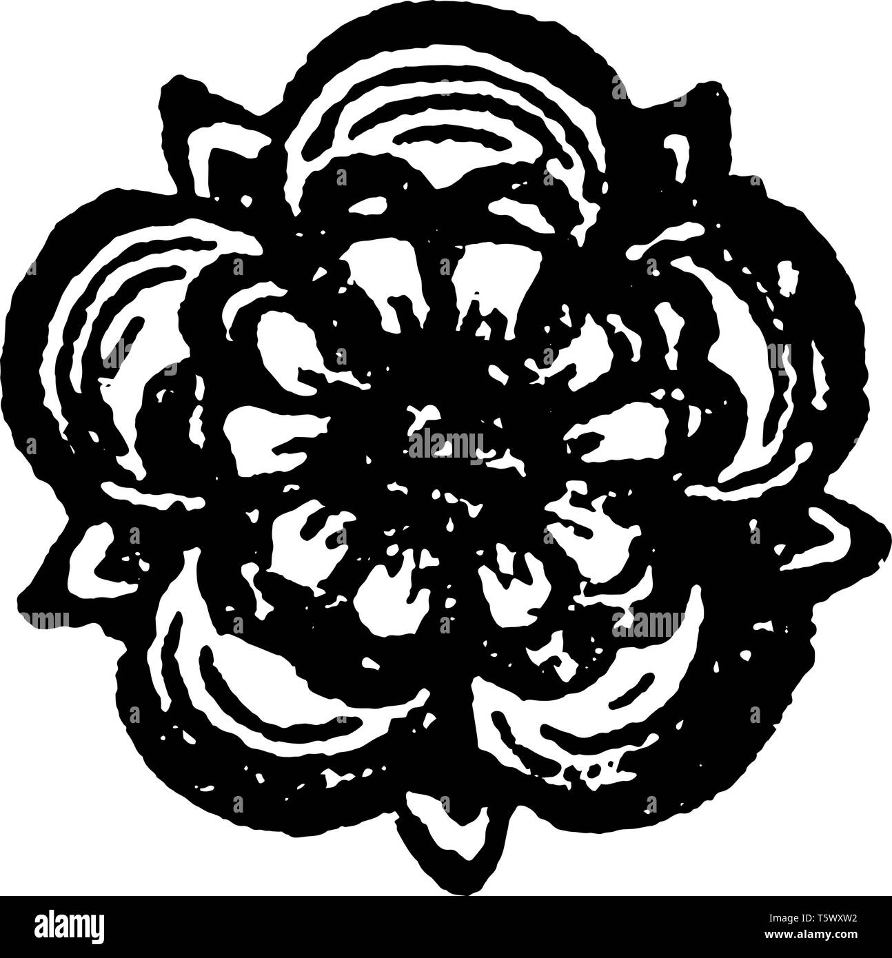 The Rose are heraldic charge borne by the seventh eldest son vintage line drawing or engraving illustration. Stock Vector