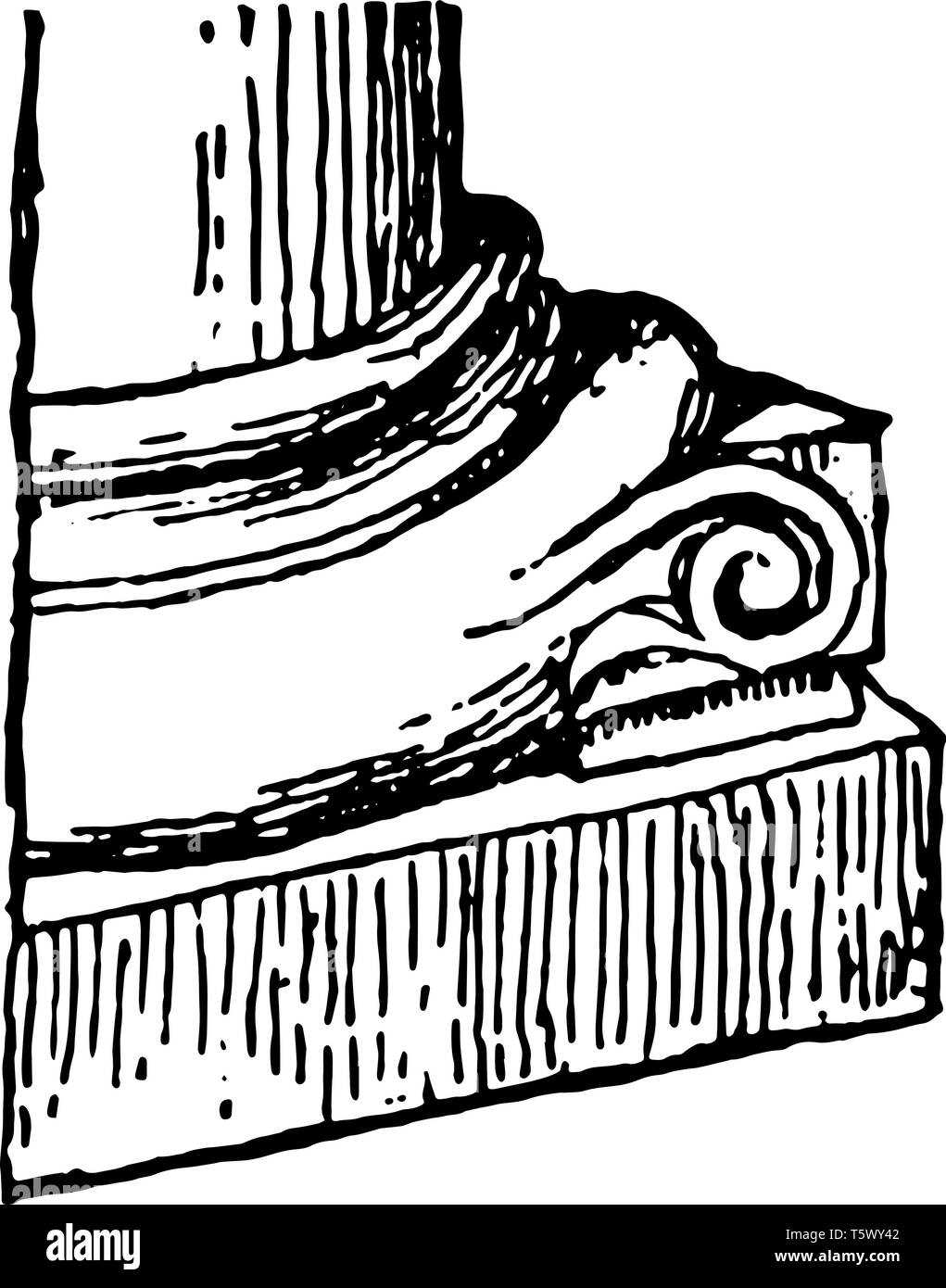 Column Base upper and lower torus scotia fillets vintage line drawing ...