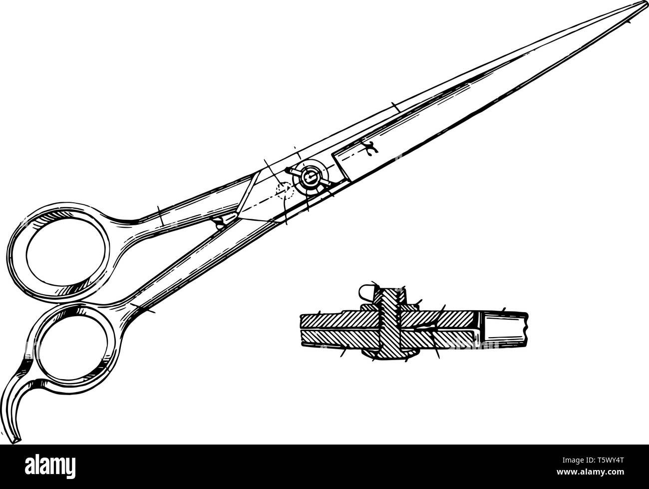 This illustration represents Large Scale Scissors which consist of a pair of metal blades vintage line drawing or engraving illustration. Stock Vector