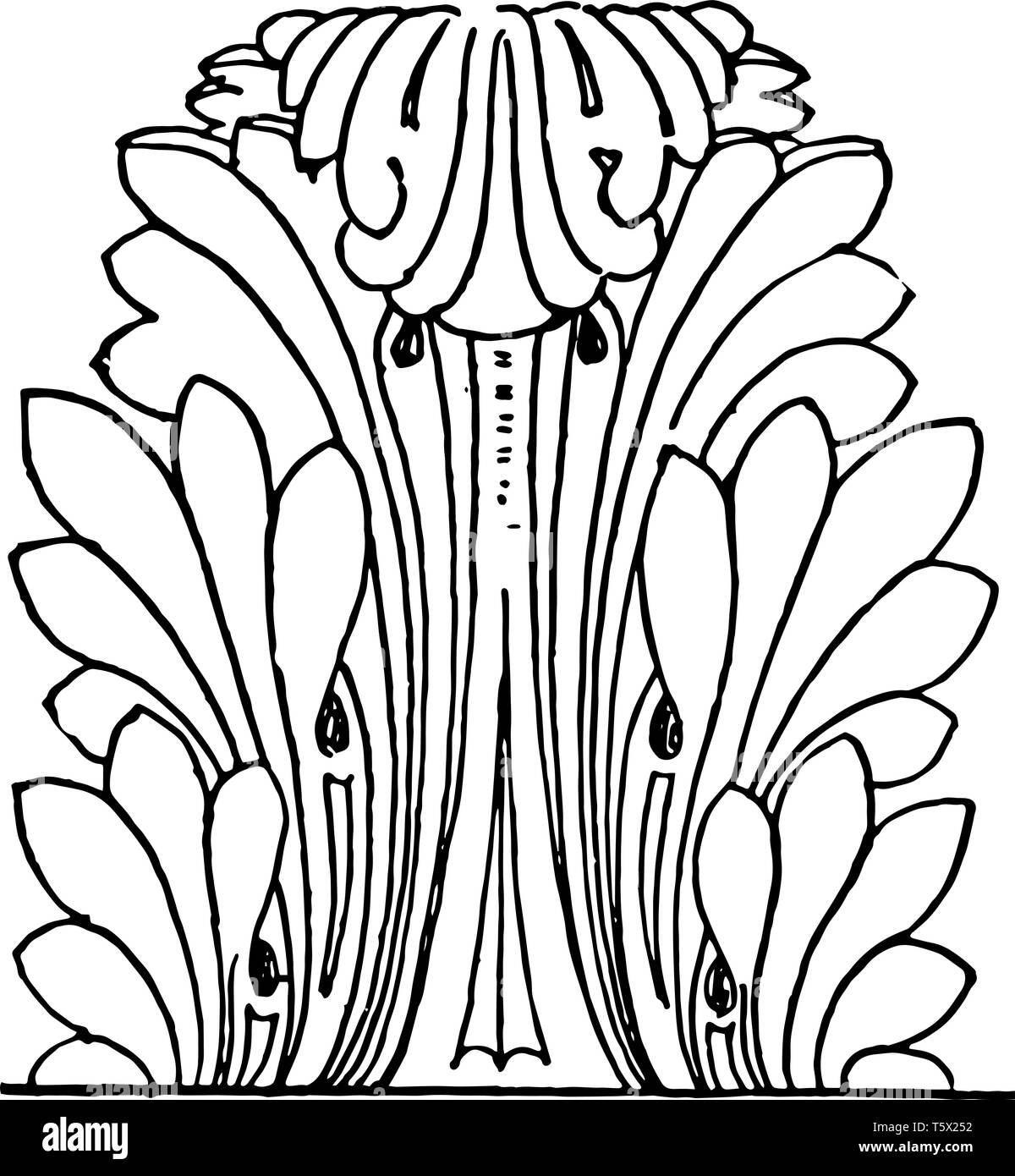 Acanthus Leaves Roman acanthus constitutes a type a particular form of leaf more minutely modeled its suggests a larger vintage line drawing or engrav Stock Vector