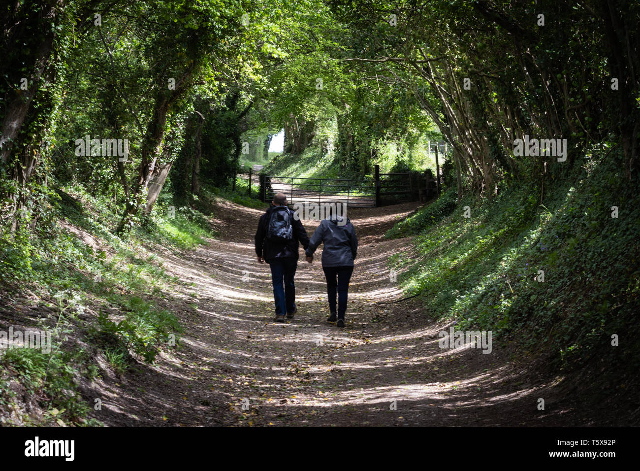 Middle aged couple walking through an archway of trees holding hands Stock Photo