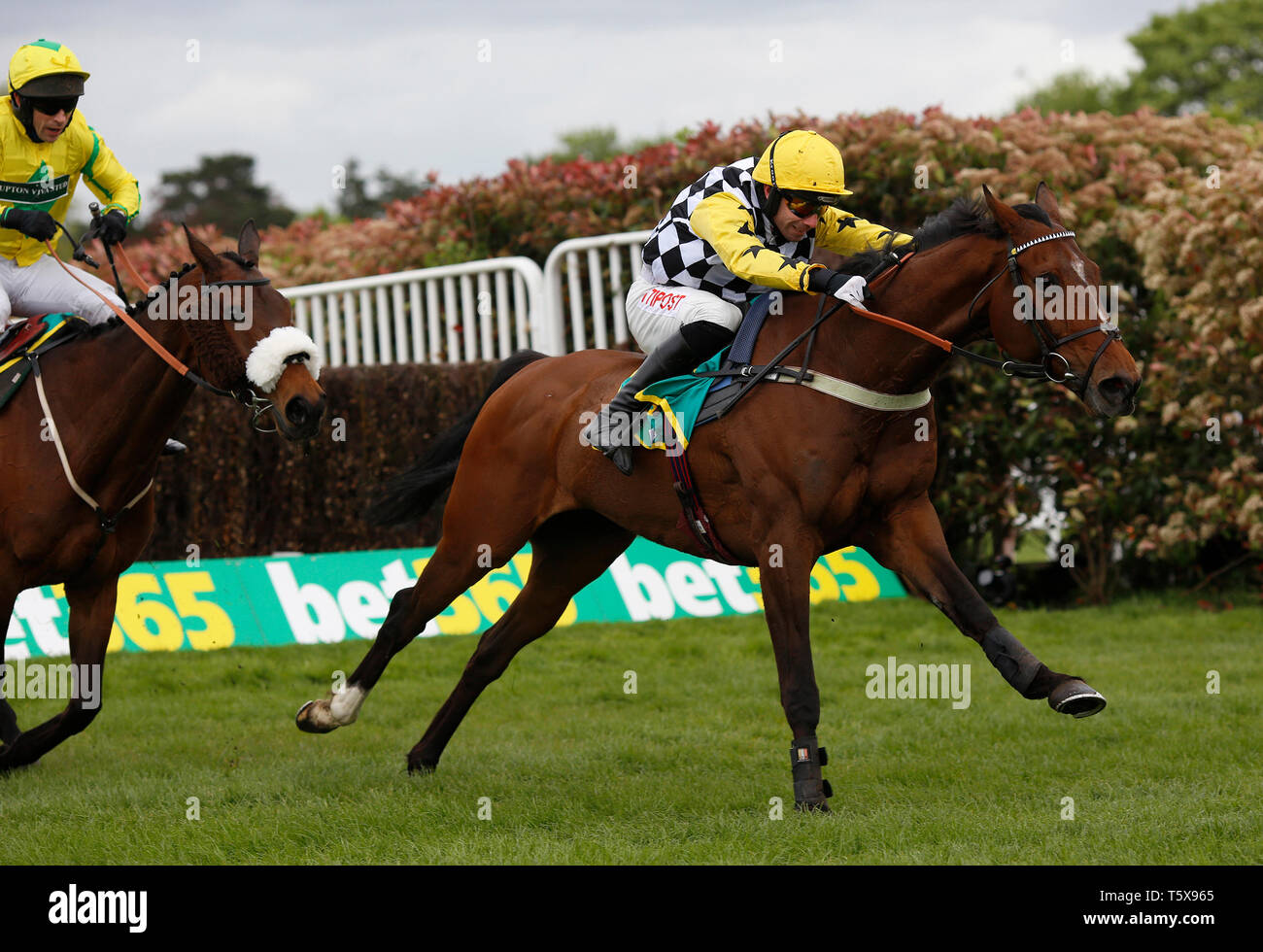 Wayne Hutchinson and Talkischeap (right) lead Mr Sam Waley-Cohen and The Young Master over the last fence before going on to win The bet365 Gold Cup Steeple Chase Race run at Sandown Park Racecourse, Esher. Stock Photo