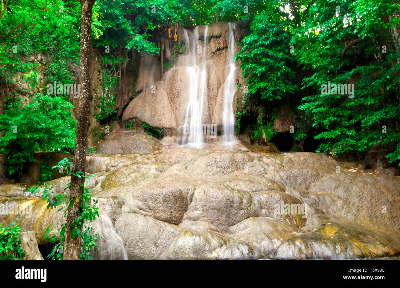 Scenery rainforest river rocks deep hi-res stock photography and images ...