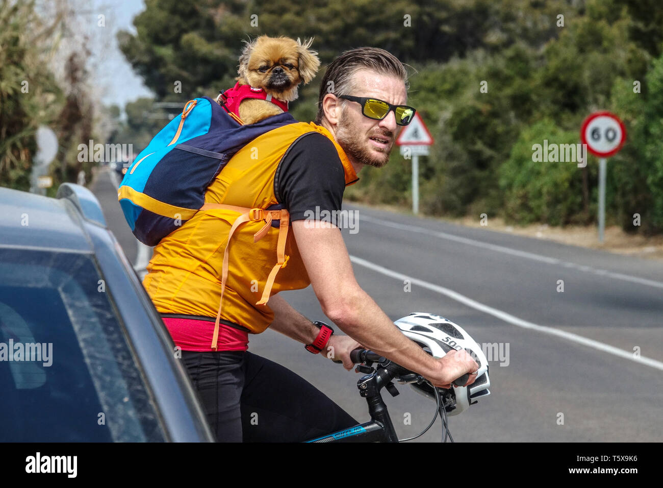 Spanish man cycling with a dog in his backpack Spain bicycle man and dog in suit bag biking without helmet riding bike Stock Photo