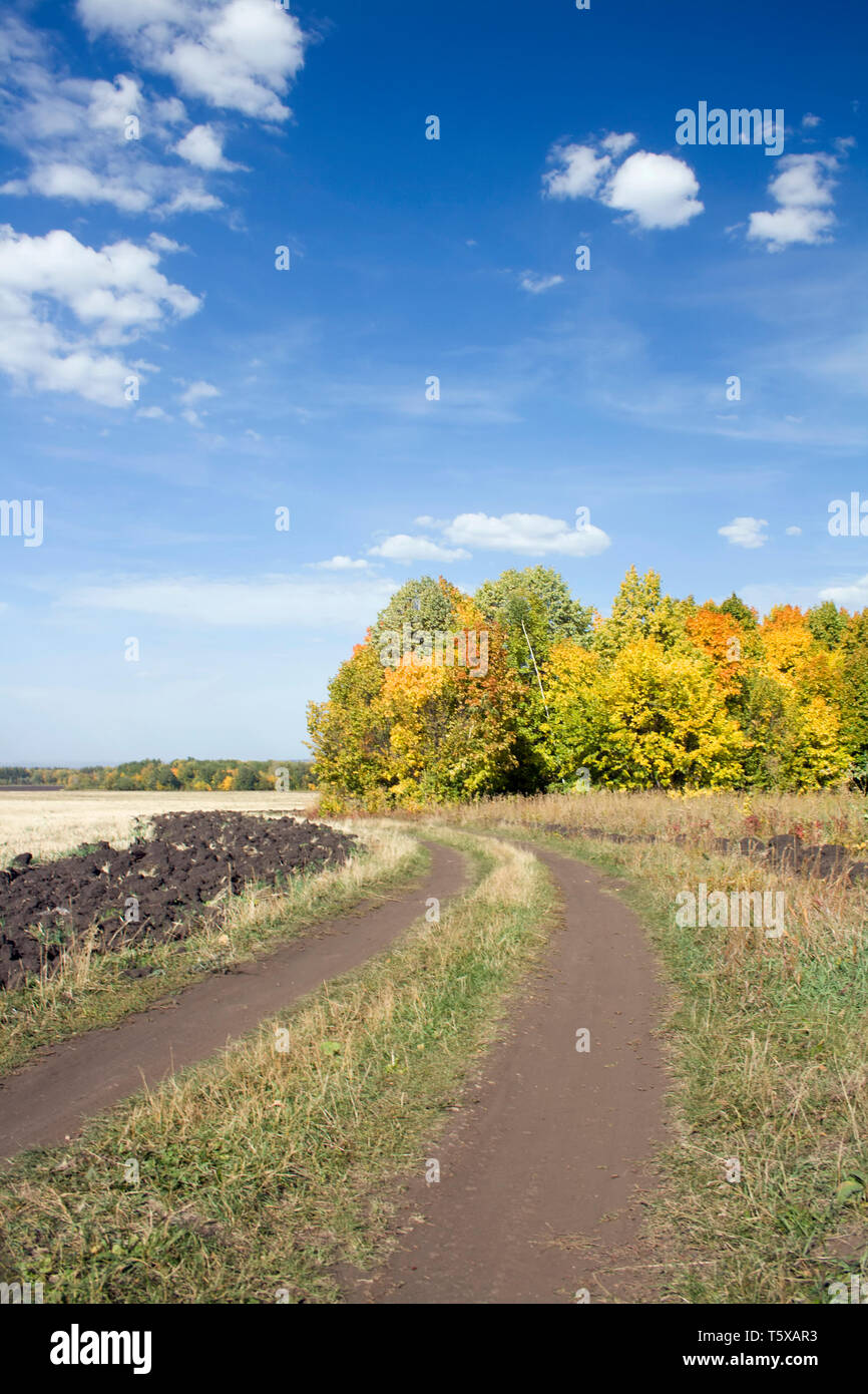 Autumn road in the beauty colorful forest . Blue sky with white clouds ...