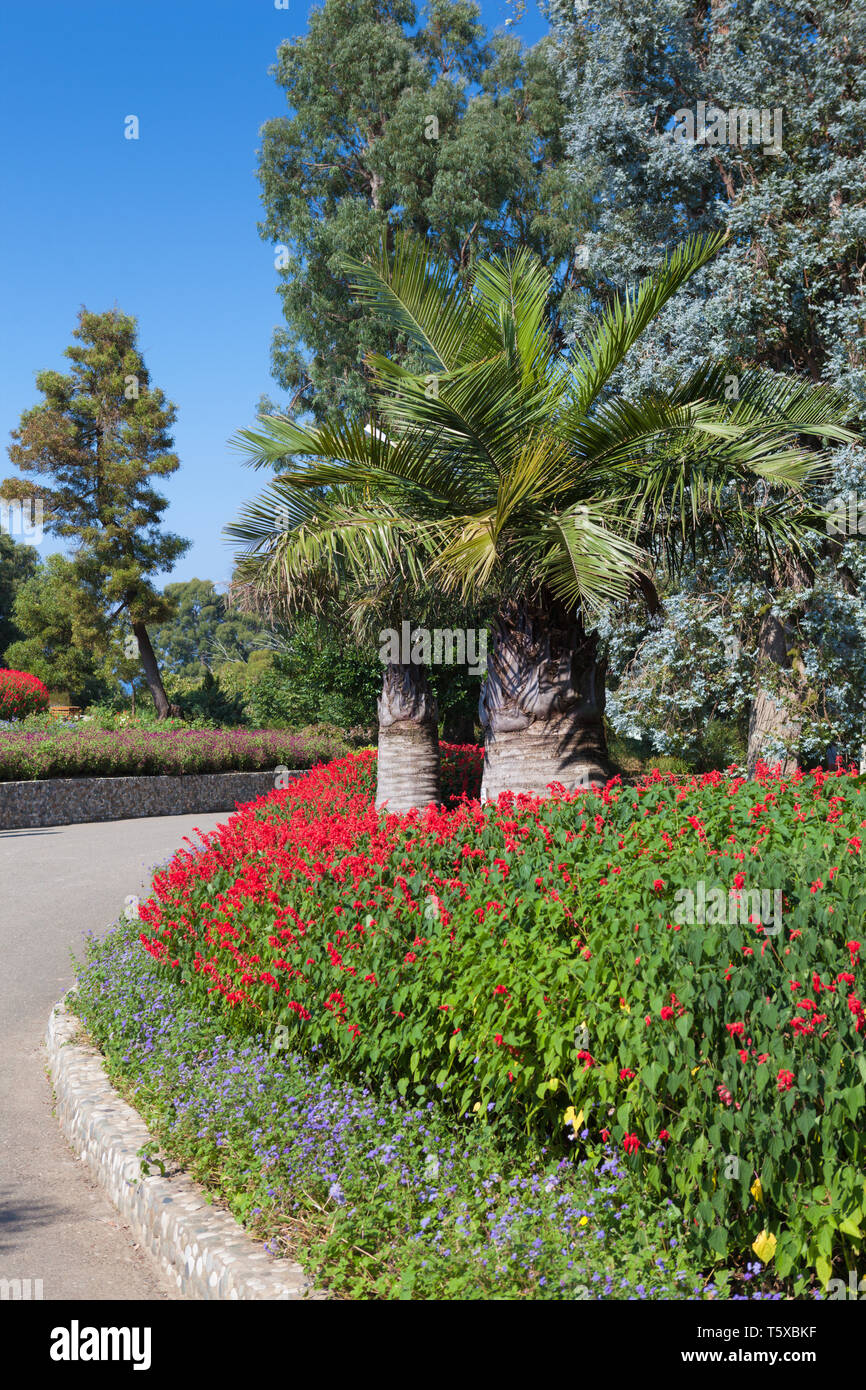 Beautiful view of the Botanical garden in Batumi Stock Photo