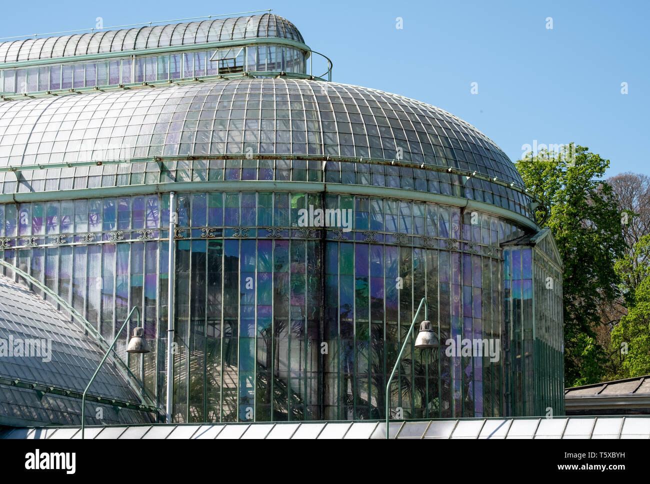 Brussels, Belgium: The Royal Greenhouses at Laeken, composed of a  number of greenhouses and include the Theatre Greenhouse and Maquet Greenhouse. Stock Photo