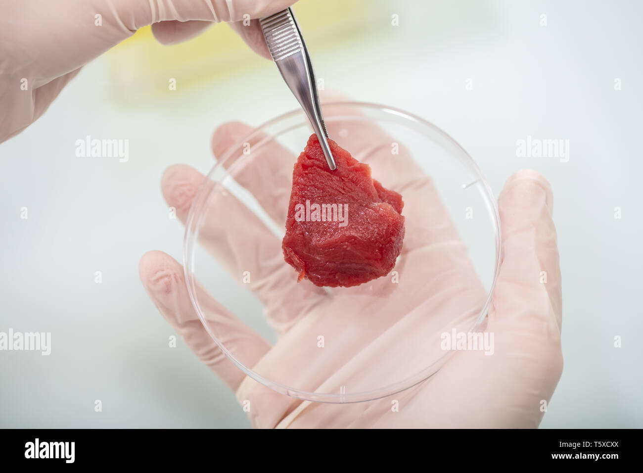 Close-up Of Researcher Inspecting Meat Sample In Laboratory Stock Photo