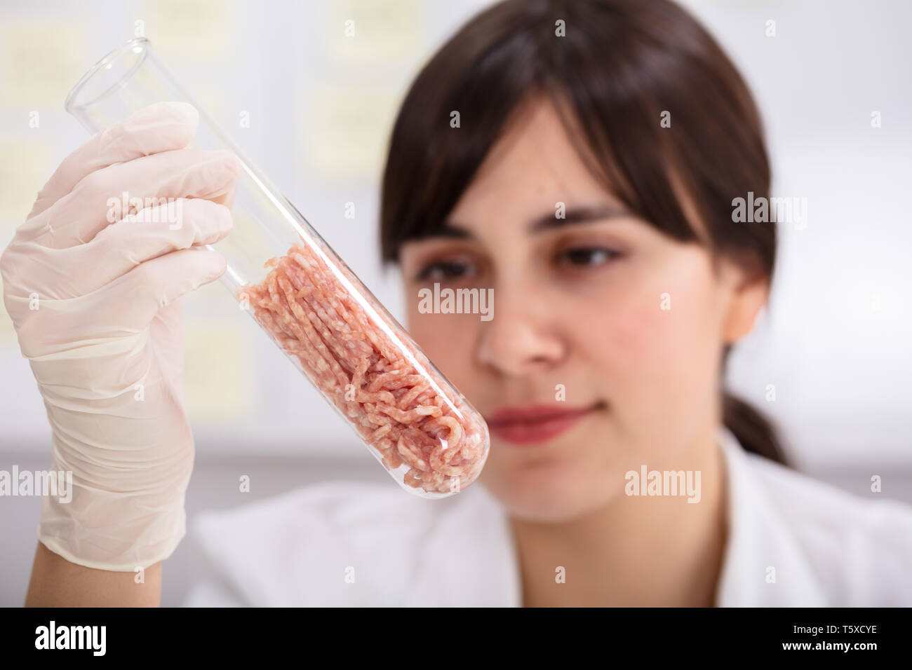 Young Female Scientist Hands Holding Raw Meat In Laboratory Test Tube