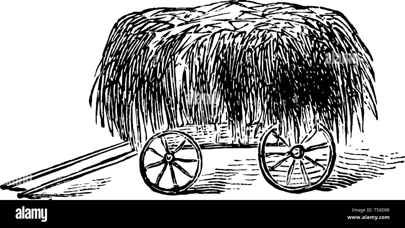 This illustration represents a wagon which is covered with hay, vintage