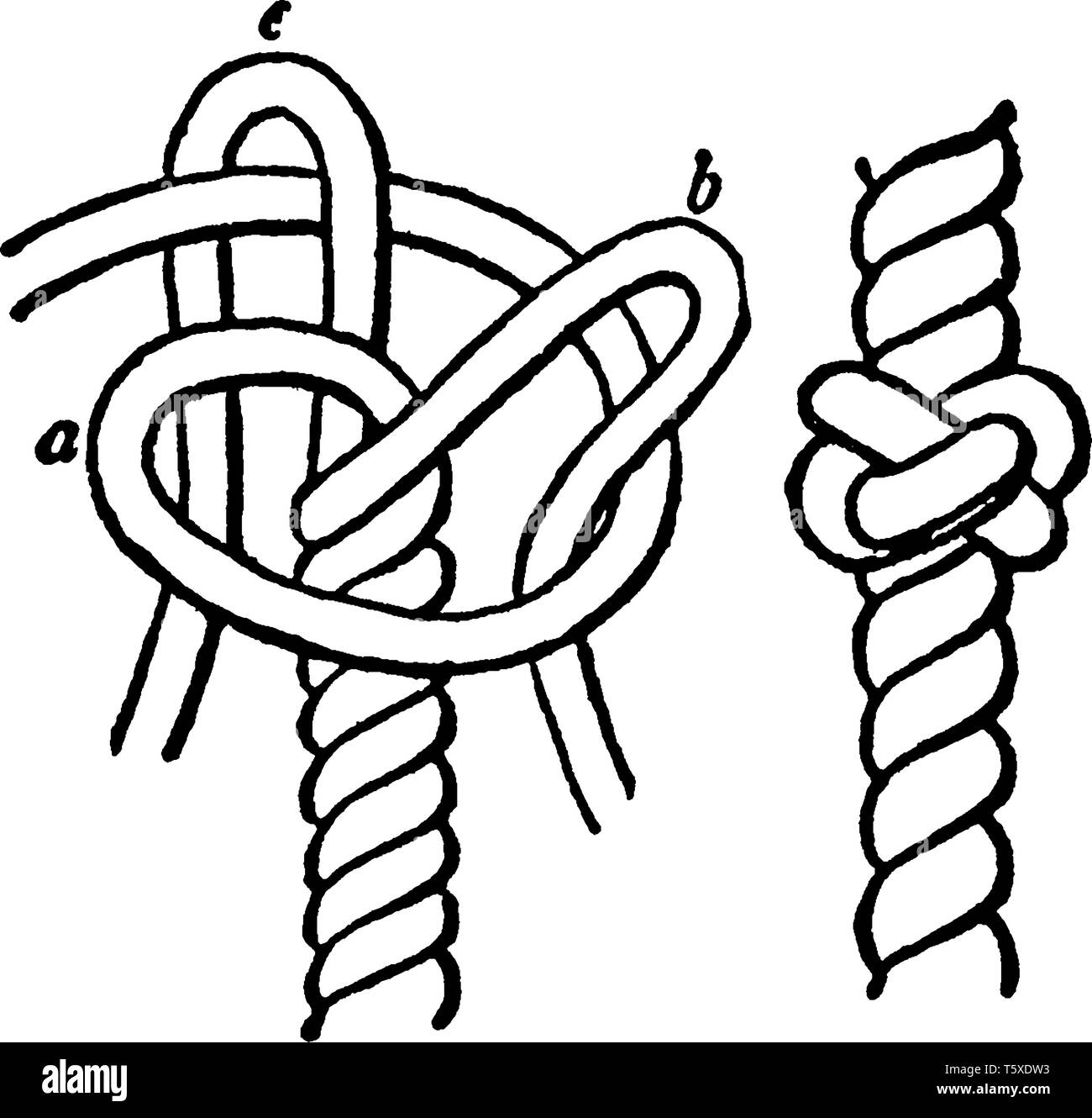 Knot Drawn Line Rope Knot Line Drawing