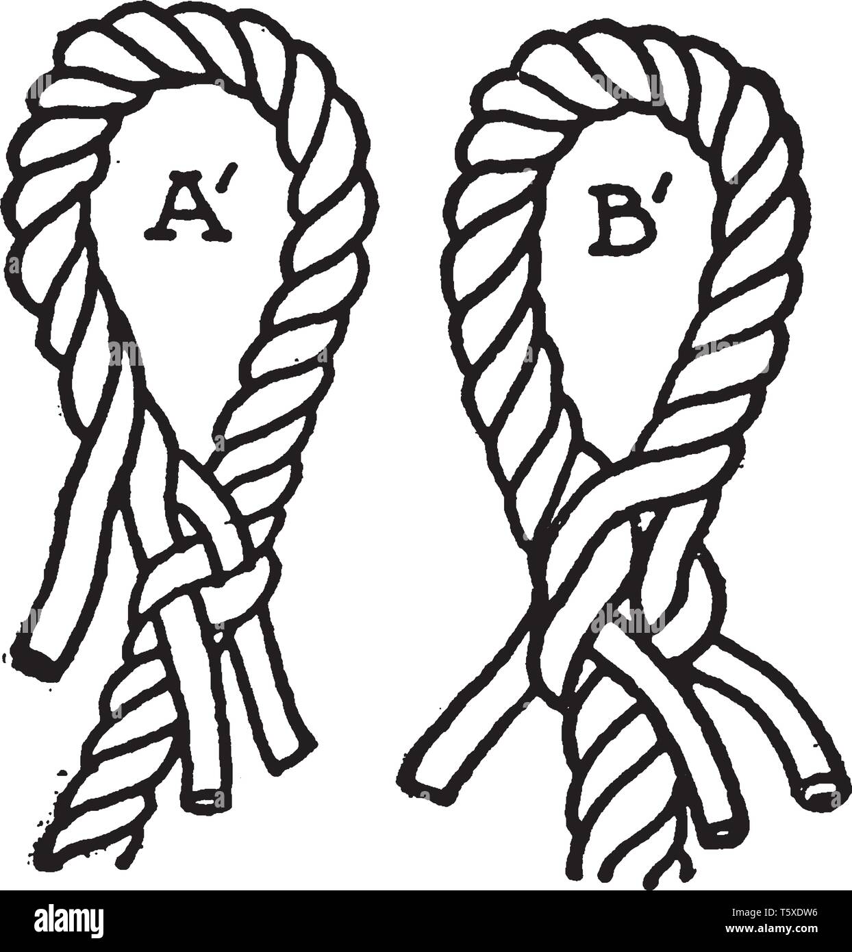 Eye splice is the end of the rope is unlaid and the strands are bent upon the body of the rope, vintage line drawing or engraving illustration. Stock Vector