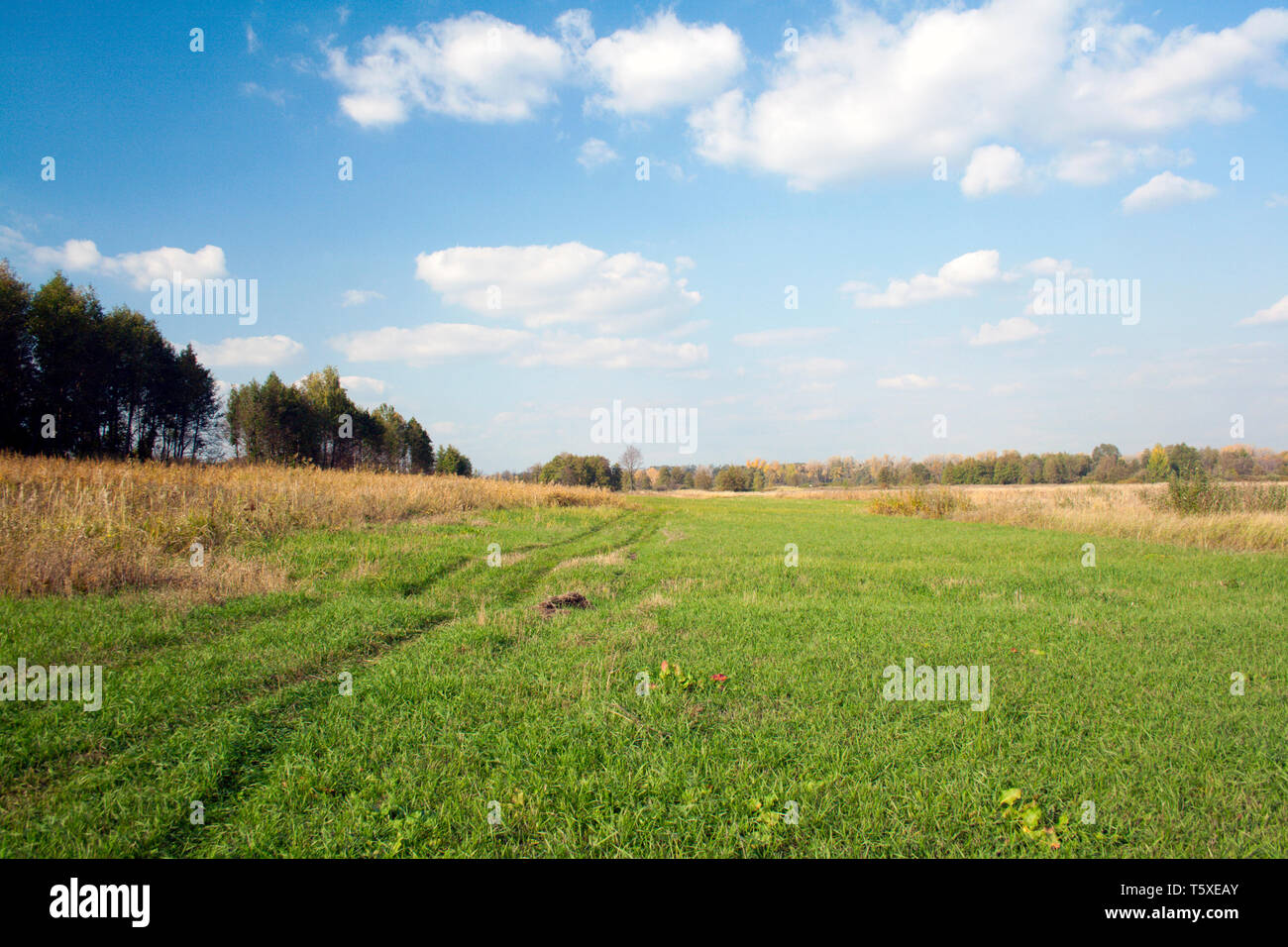 Rural road across green field. Blue sky and white cloud Stock Photo - Alamy