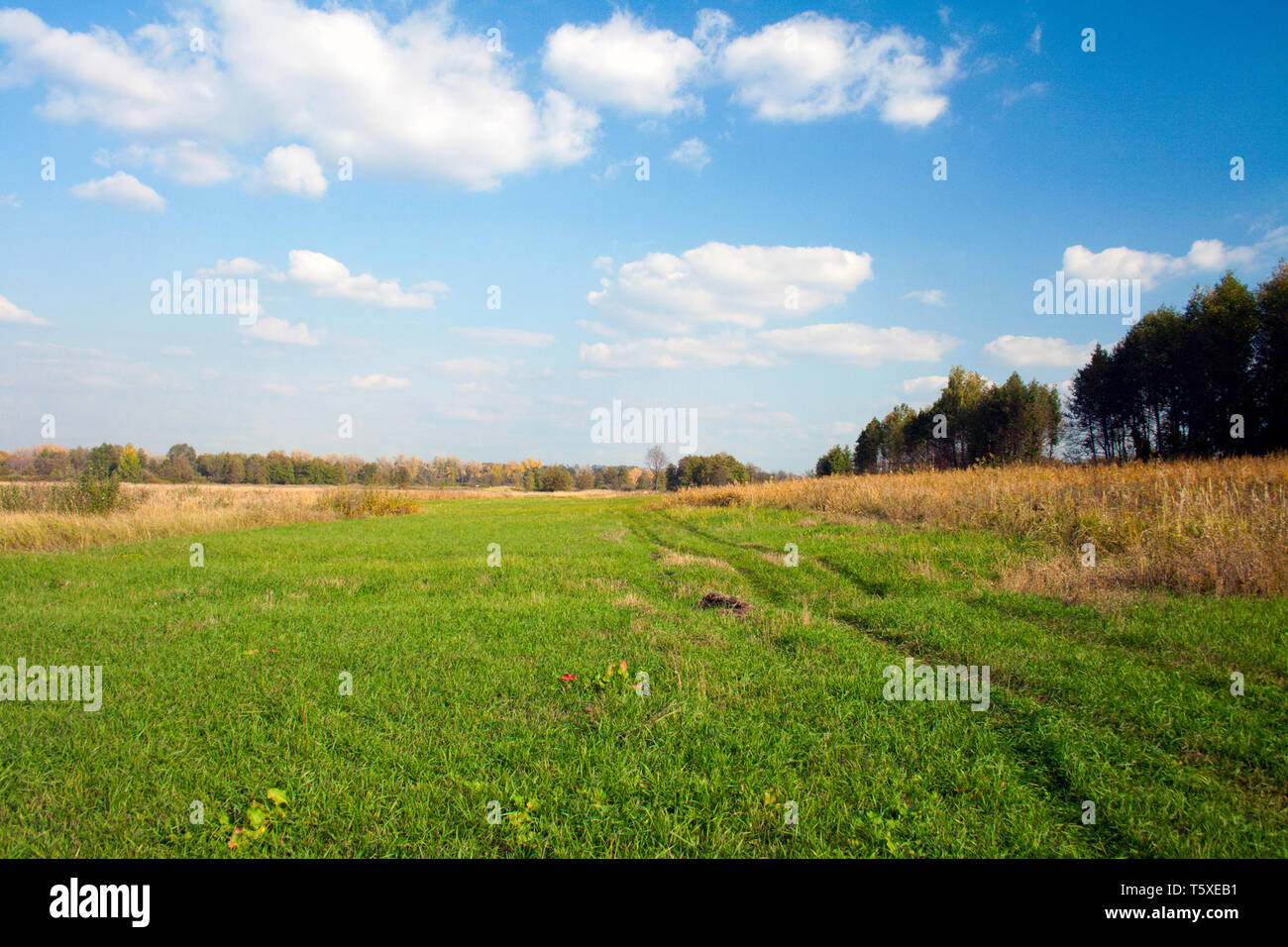 Rural road across green field. Blue sky and white cloud Stock Photo - Alamy