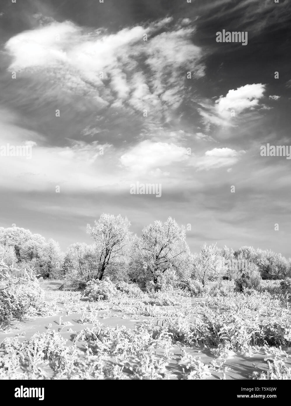 Black and white snow landscapes hi-res stock photography and images - Alamy