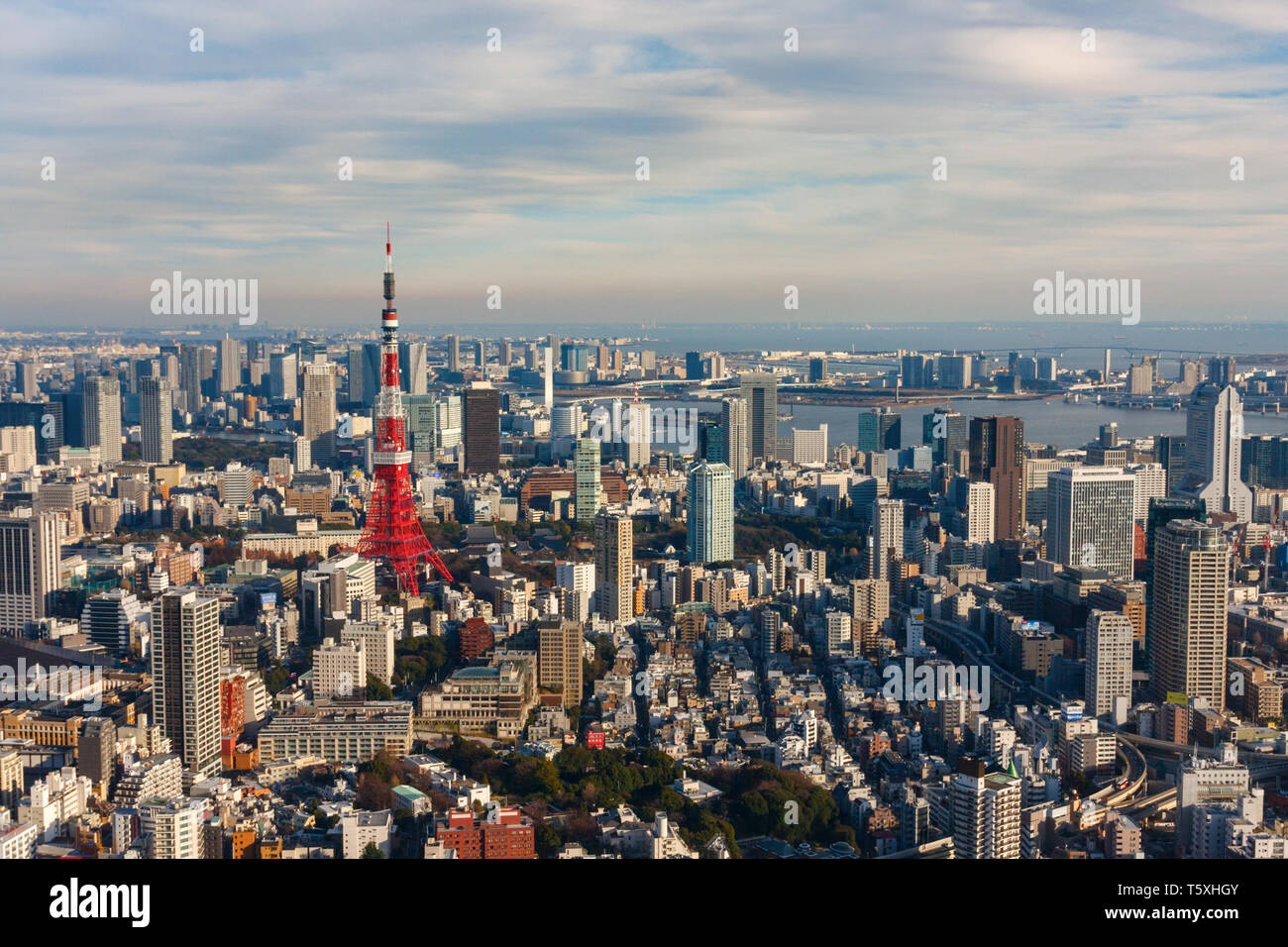 Aerial view of the Tokyo skyline and special ward Minato city with the Tokyo Tower and countless skyscrapers. Japan. Stock Photo
