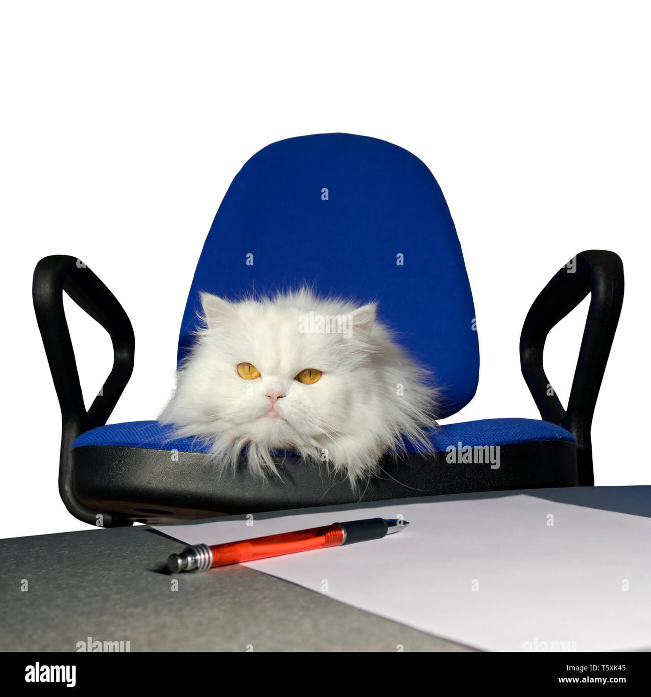 Receive order to dismiss . Sign of order . Isolate Stock Photo Alamy