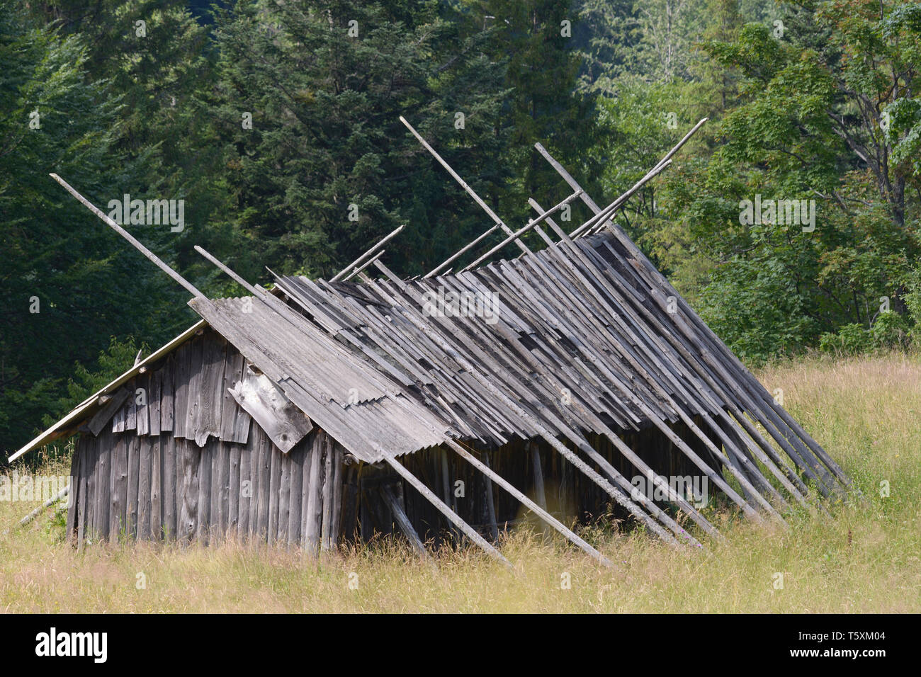 Apiary shed hi-res stock photography and images - Alamy