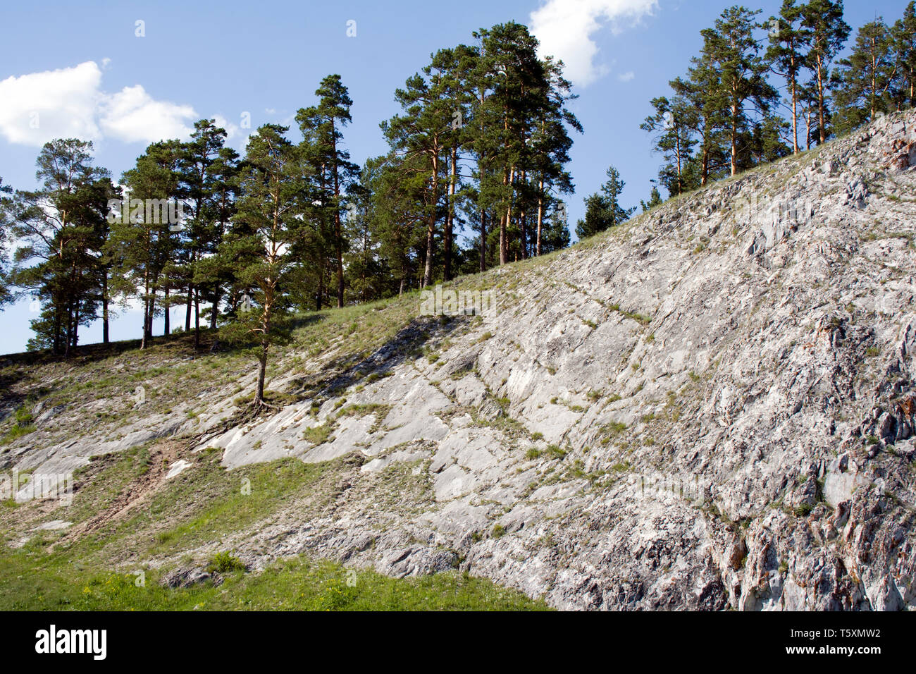 Rocky forest slope hi-res stock photography and images - Alamy