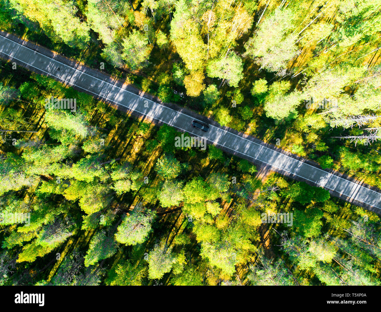 Aerial view of a country road in the forest with moving cars. Beautiful ...