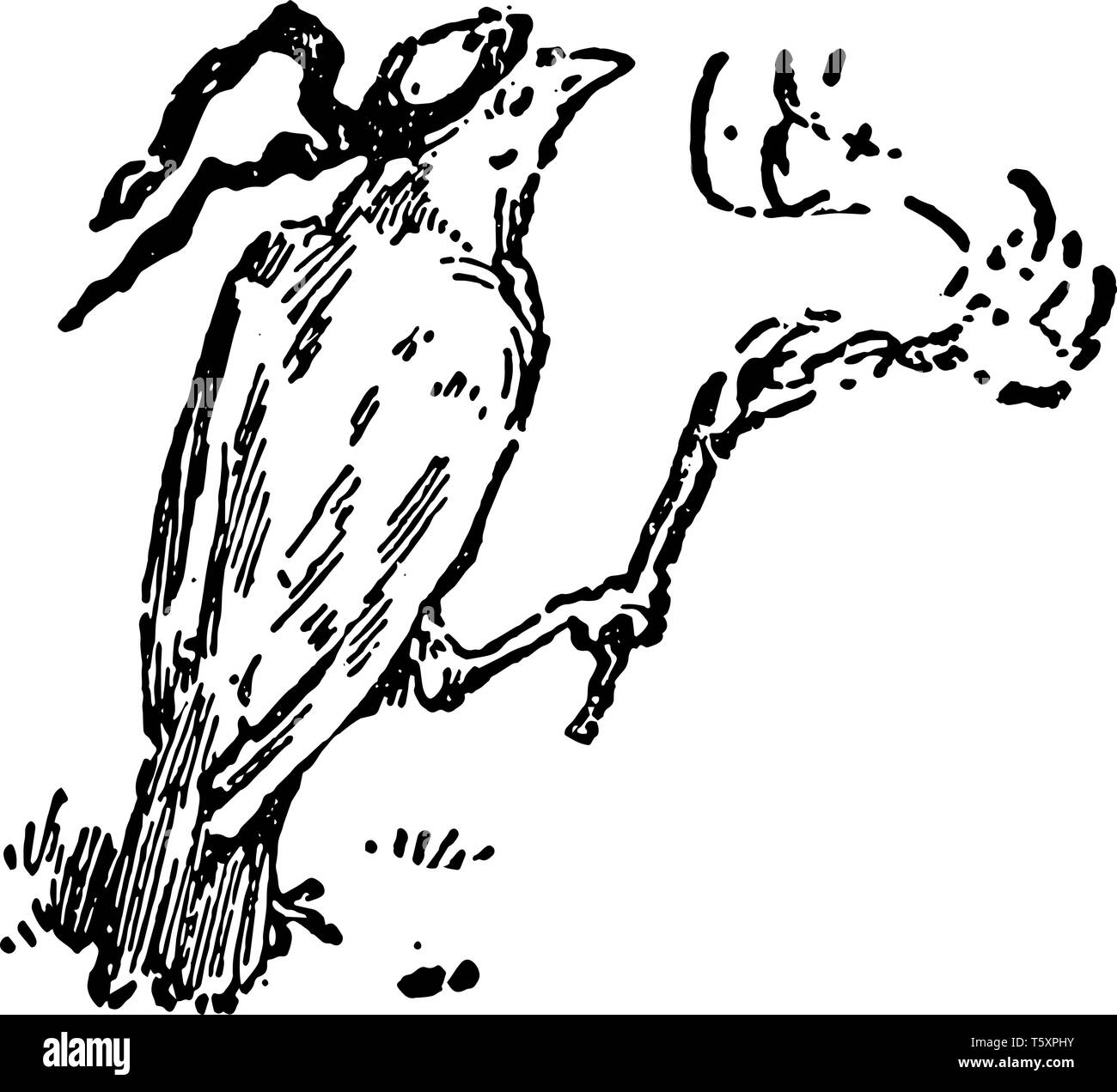 Stick to death Cut Out Stock Images Pictures Alamy