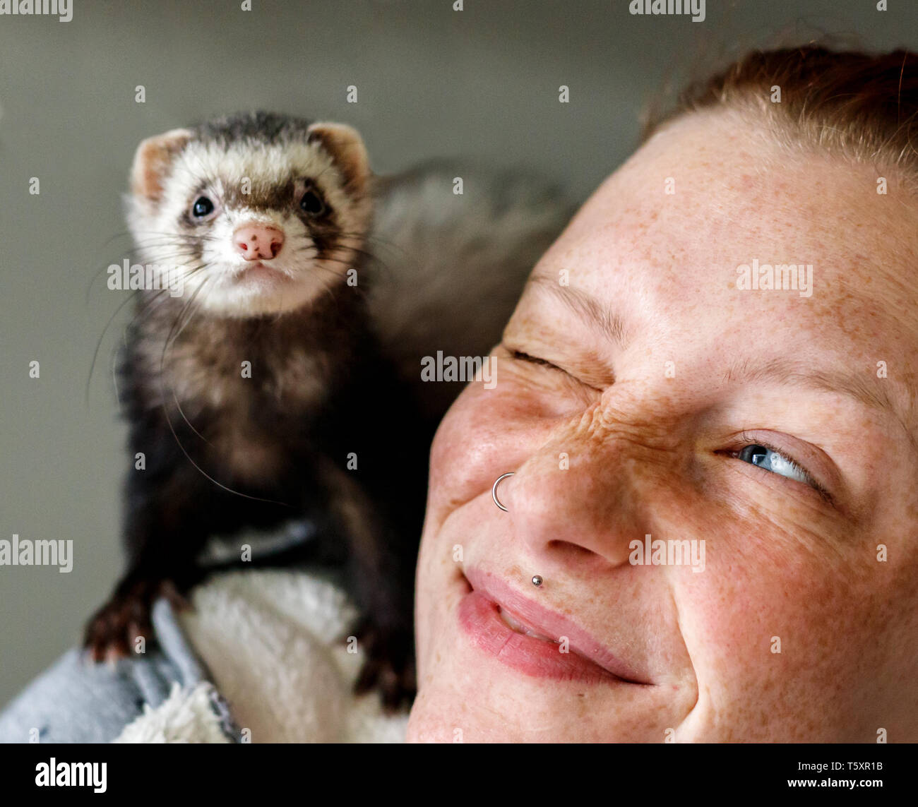 Young attractive red head girl with freckles smiling at little ferret pet on her shoulder Stock Photo