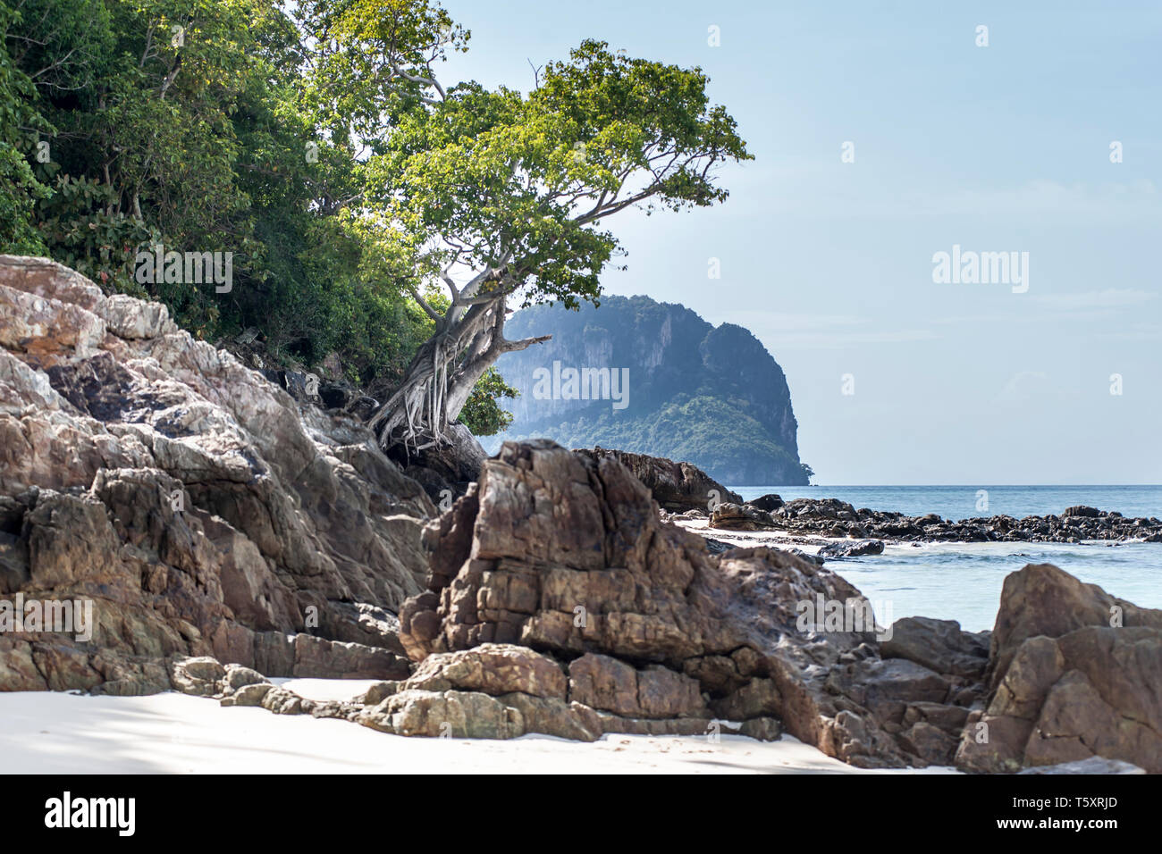 The bamboo beach in the nature reserve of Ko Mai Phai island Stock Photo