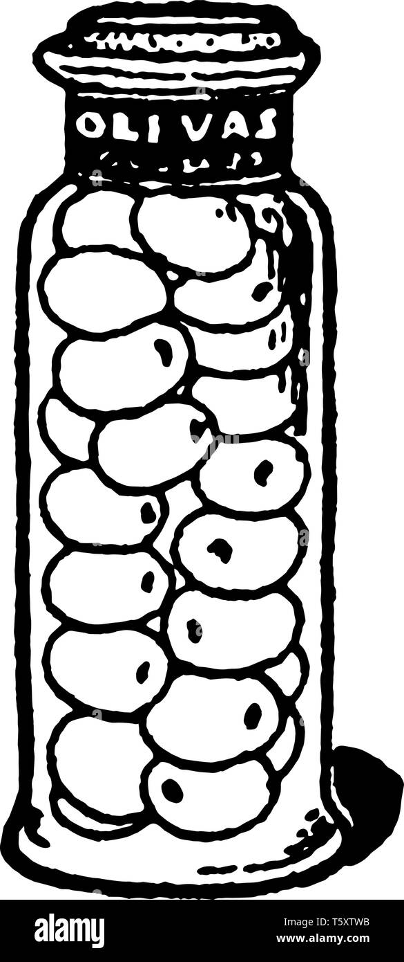 Olives can be stored in glass jars with lid, vintage line drawing or engraving illustration