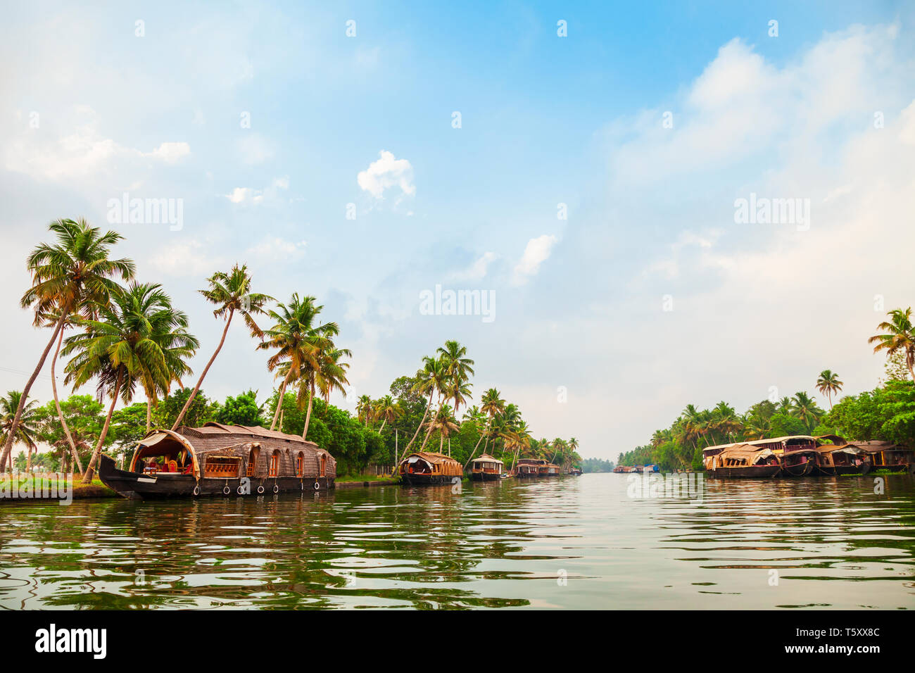 A houseboat sailing in Alappuzha backwaters in Kerala state in India Stock  Photo - Alamy