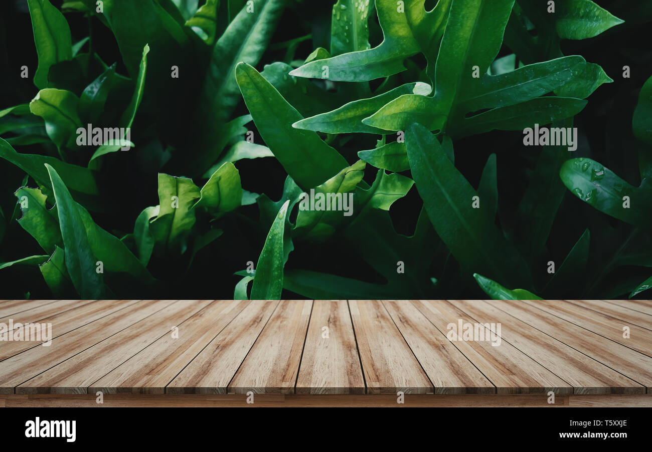 Empty Wooden Table Top For Montage Products Display With Green Leaves Background Perspective Brown Wood Mock Up Visual Layout Stock Photo Alamy