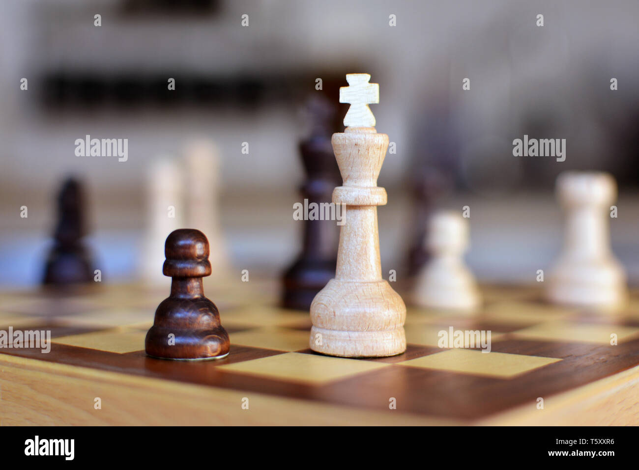 Chess board game with focus on white queen pieces on blurry background Stock Photo