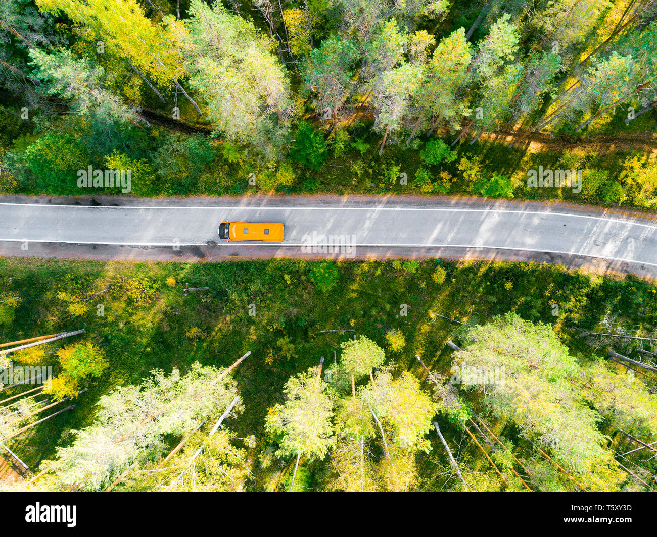 Aerial view of a country road in the forest with moving cars. Beautiful ...
