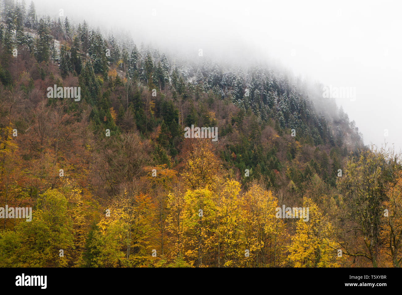 Weather transition hi-res stock photography and images - Alamy